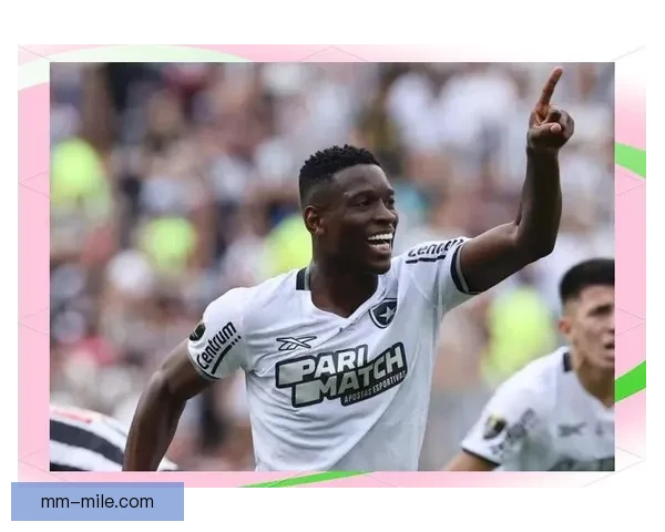 博塔弗戈力克米内罗竞技夺得二零二四赛季南美解放者杯冠军