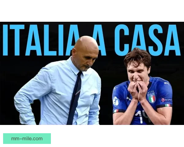 卡马拉膝伤确认无缘欧洲杯赛场遗憾告别