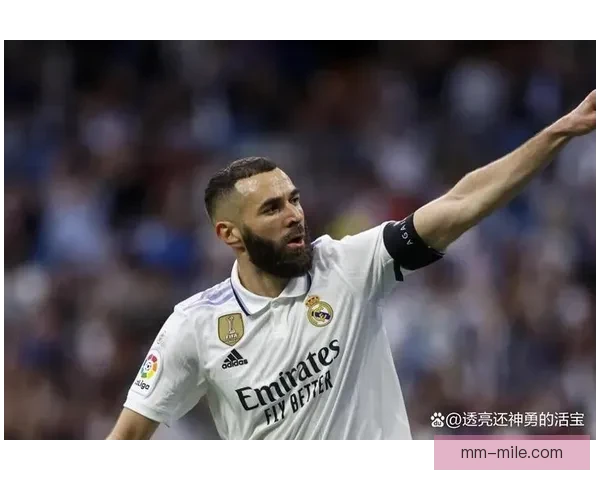 吉达联外援本泽马多次缺席训练引发球队管理关注