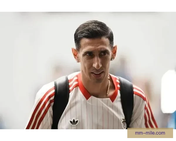 本菲卡解雇主教练施密特后 新帅人选引发广泛猜测与讨论